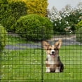 thumbnail image 3 of 5-Panel Metal Garden Fence with Gate: 36"x39" Rustproof Steel Animal Barrier for Yard, Patio, Outdoor Border - No-Dig Installation, 3 of 9