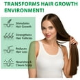 thumbnail image 3 of Aliver Batana Shampoo, Natural for All Hair Types, Reduce Breakage for Women and Men Daily Hair Care 10.56 fl.oz, 3 of 10