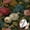 Colourful1, variant on Vintage Floral Pattern Wallpaper Boho Rustic Self Adhesive and Removable Waterproof Wall Decor for Living Room Bedroom Bathroom Kitchen Cabinet Drawer 17.7 * 118 in