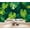 Color 1, variant on Wallpaper Tropical Monstera Leaf Green Foliage rainforest Watercolor Peel and Stick Wall Murals 100"H x 144"W Removable PVC Wall Paper Self-Adhesive Wall Paintings Art Decor for Bedroom Living Room