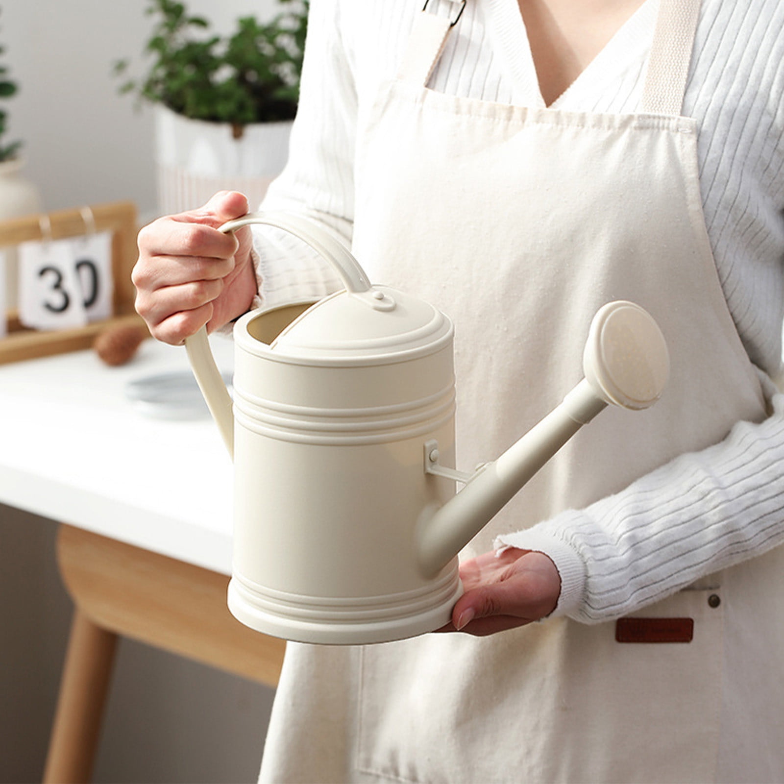 JoyHoop 2L Long Spout Watering Kettle, Beige Plastic with Ergonomic Handle for Indoor Plants, 12.99x9.05x5.51 Inches