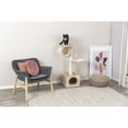 thumbnail image 5 of TRIXIE San Fernando Plush & Sisal 3-Level 41.7" Cat Tree, Scratching Posts & Condo, Beige, 5 of 7