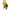Yellow, variant on Dooleck Baby Girl Clothes Isn't She Lovely Outfit Bodysuit Sunflower Jogger Pant Set