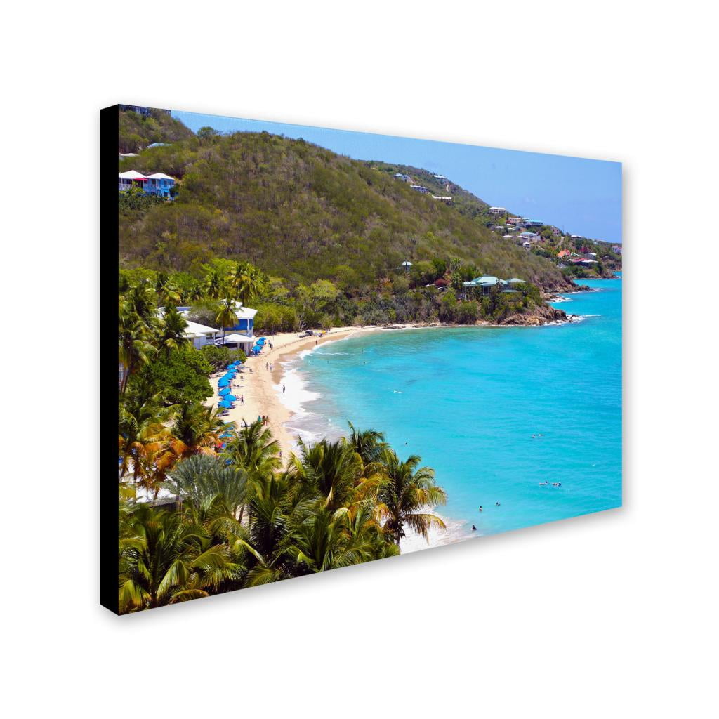 Trademark Fine Art CATeyes 'Virgin Islands 10' Canvas Art 30x47 Inches