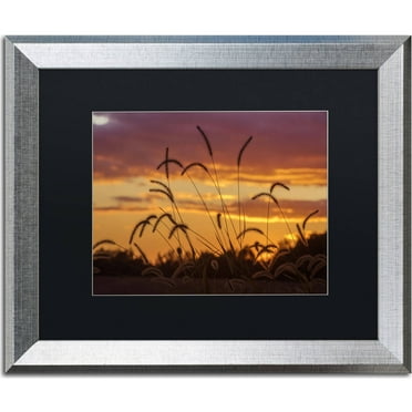 Trademark Fine Art "Weeds" Canvas Art by Jason Shaffer, Black Matte, Silver Frame