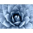 thumbnail image 2 of Jensen, Mia 24x19 White Modern Wood Framed Museum Art Print Titled - Succulent Indigo II, 2 of 4