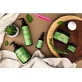 thumbnail image 4 of Mielle Rosemary Mint Strengthening Shampoo, Paraben-Free, Sulfate-Free, 12 oz, 4 of 10