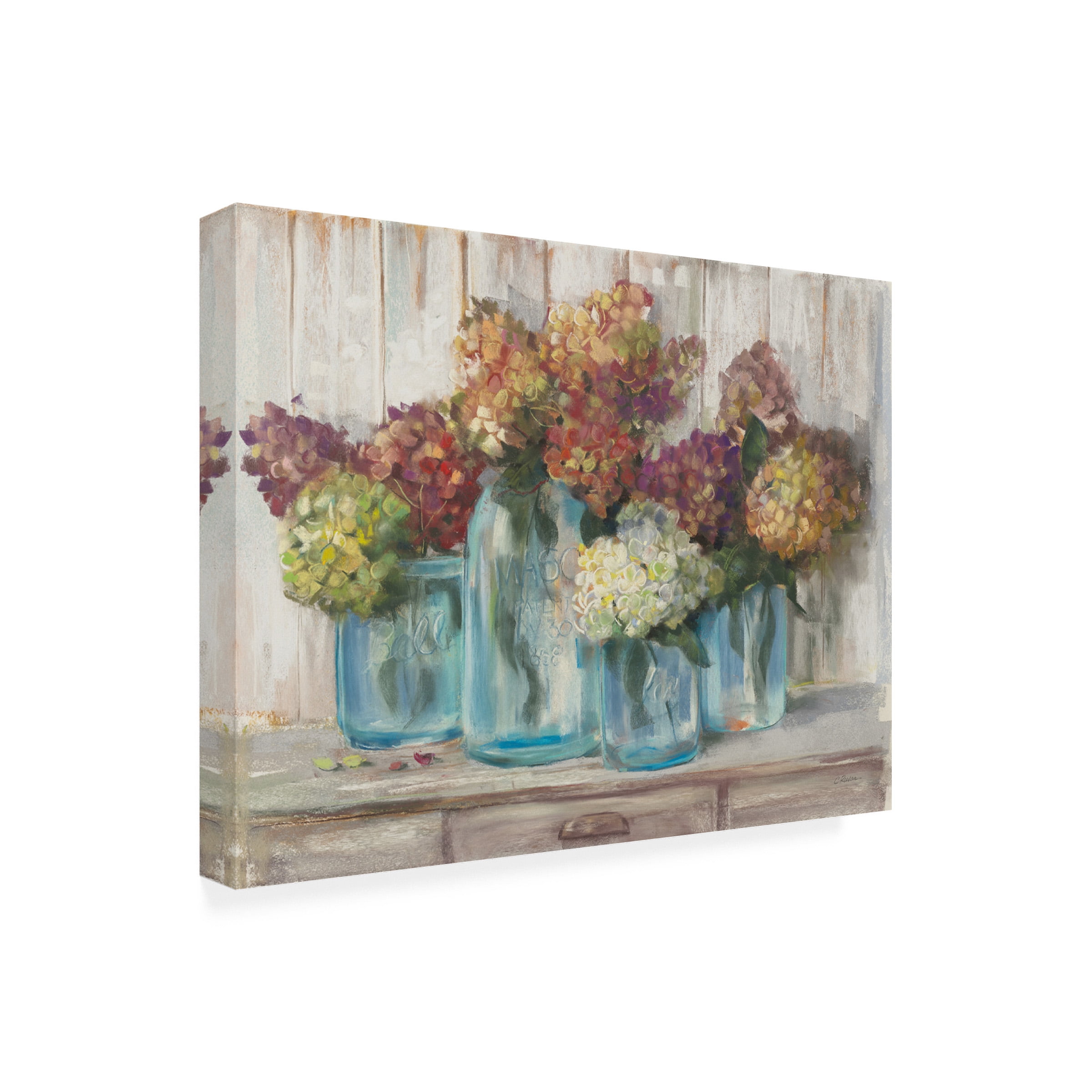 Carol Rowan 'Hydrangeas In Glass Jars White Wood' Outdoor Canvas 18x22
