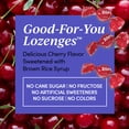 thumbnail image 4 of Zand Immunity Cherry Echinacea Zinc HerbaLozenge Throat Drops | No Corn Syrup or Cane Sugar (3 Bags, 15 Lozenges), 4 of 6