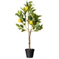 thumbnail image 1 of Vickerman 28 Pouces Feuilles en Pot Lemon Tree Toucher Réel - TA190128, 1 of 1