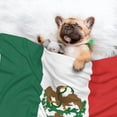 thumbnail image 2 of Dog Blanket Mexican Flag Soft Dog Blankets for Small Medium Dogs Pet Cat Puppy Blanket Mat Cover, 2 of 7