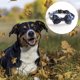 thumbnail image 3 of Dinheiro Hebilla collar perro clip plastico Marvel Vengadores, 3 of 5