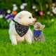 thumbnail image 5 of Pañuelo para perro tipo bandana, bandana triangular ajustable de 3 piezas para mascotas, bufanda tipo bandana para perros, bufanda para perros y gatos, bufanda para mascotas (M), 5 of 5