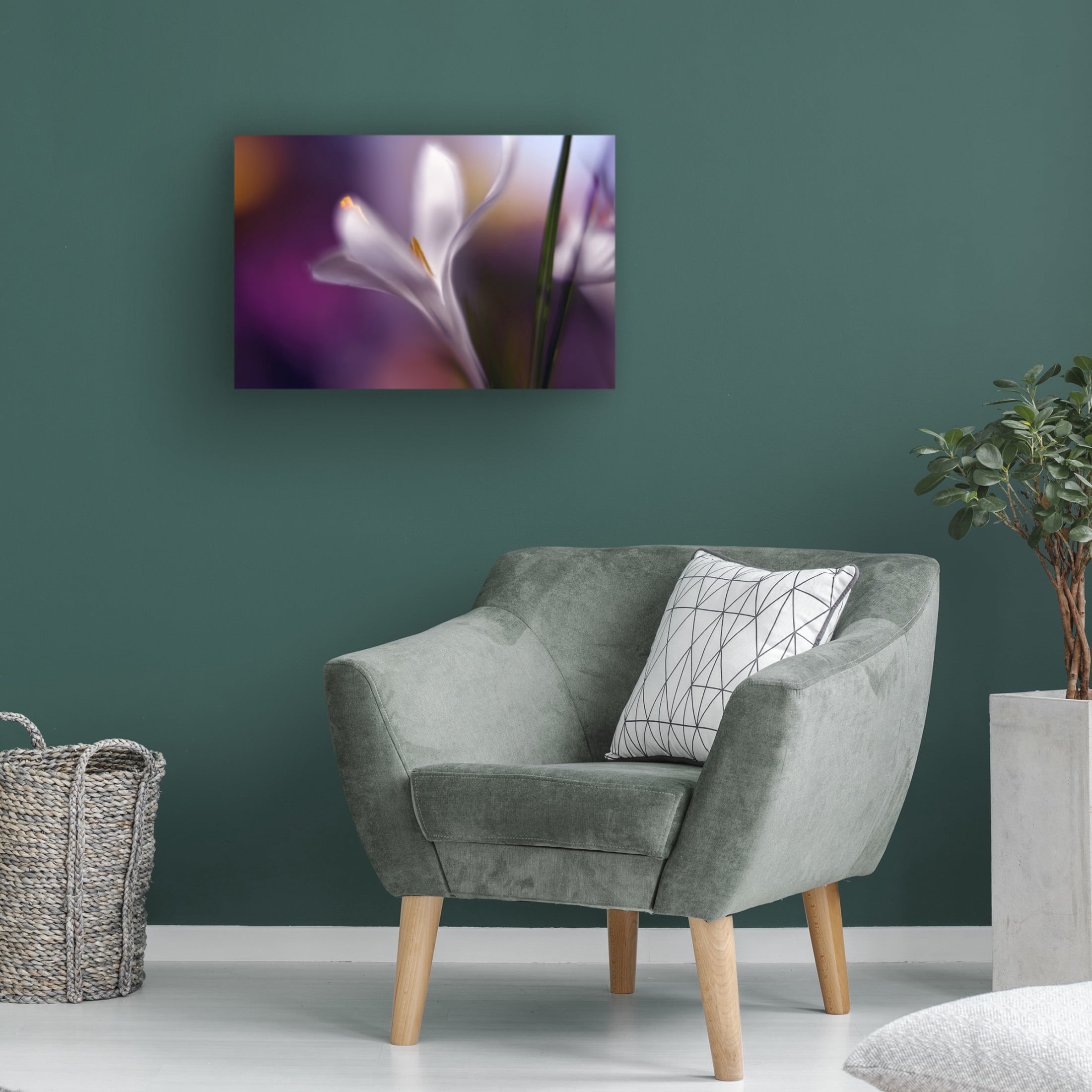 Canvas Wall Art - Heidi Westum 'Midnight Crocus' Wall Art for Living Room, Bedroom, or Office D?cor by Trademark Fine Art - 24 x 16 Inches