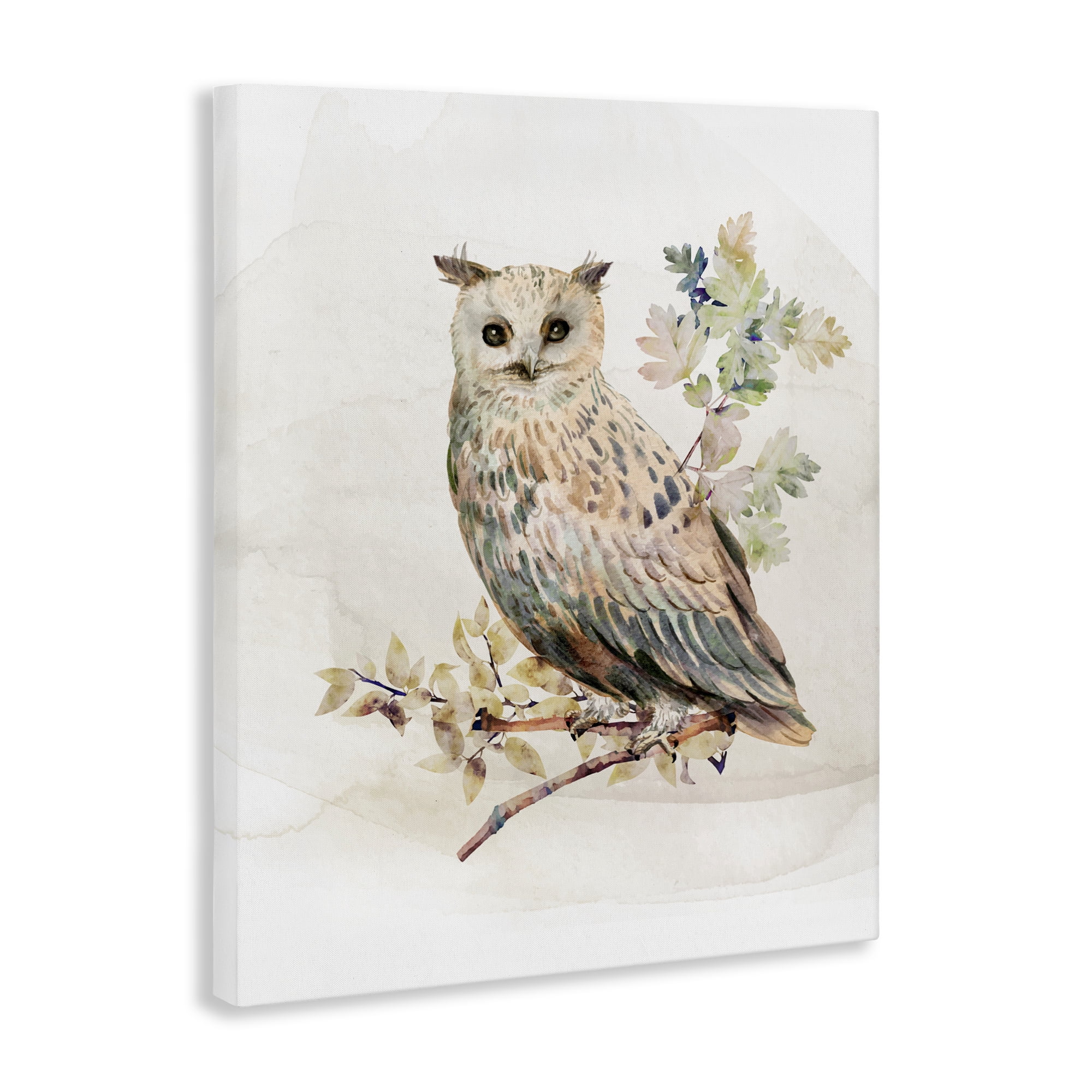 Stupell Industries Forest Owl with Foliage Canvas Wall Art, design by CAD Designs
