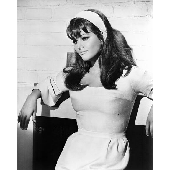 Claudia Cardinale 24X36 Classic Hollywood Poster Glamorous 1960's Pose