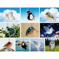 thumbnail image 4 of 24pcs Sea Glass Advent Calendar - 24 Days Handmade Collectible Ornaments, Holiday Surprise Themed Decor, Ideal Gift for Bird Lovers & Plastic Countdown Home Displays, White, 10.23*7.08in, 4 of 7