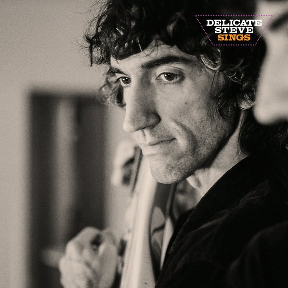 Delicate Steve - Delicate Steve Sings - Music & Performance - Vinyl