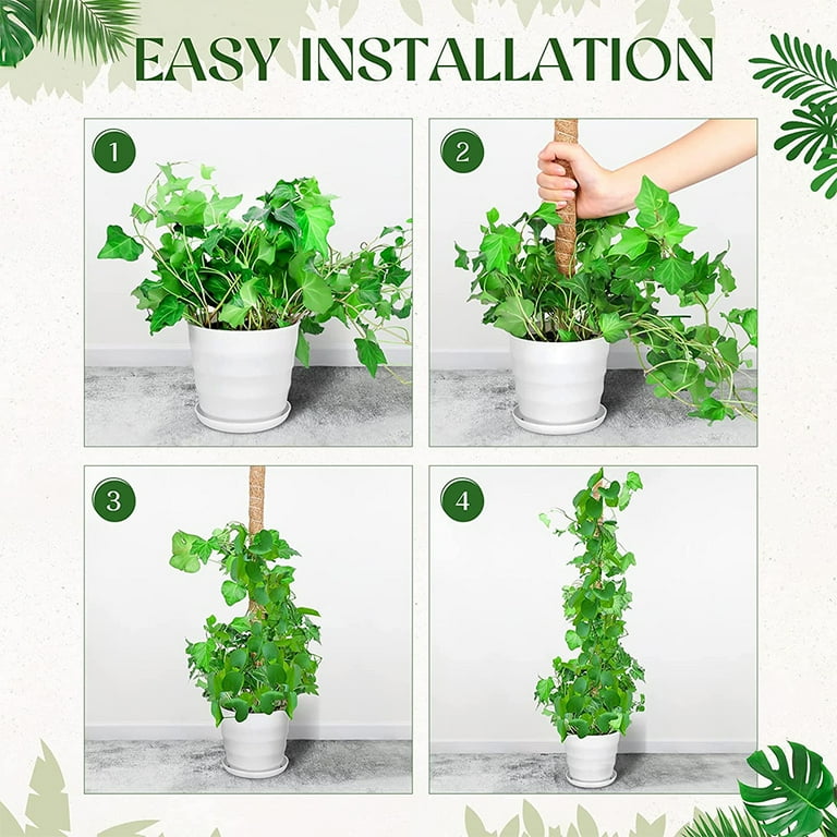 Moss Pole 2 Pack, 25" Coco Coir Pole Plant Support, Moss Pole for Plants  Monstera, Bendable Plant Sticks, Monstera Poles for Climbing Plants -  Walmart.com
