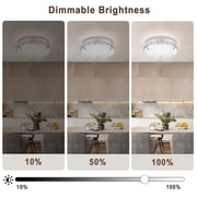 Lzawvm Crystal Ceiling Light Fixture Flush Mount Ceiling Light Dimmable LED Bright 4000K for Bathroom Living Room Kitchen 11Inch 18W