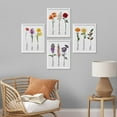 thumbnail image 3 of PixonSign Framed Wall Art Floral Botanical Flower Collection with Names Illustrations Posters, Set of 4 Multicolor Wildflowers Modern Art, Nature Canvas Prints for Home Decor - 8"x10" White, 3 of 5