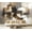 Color6, variant on Peel and Stick Wallpaper Canvas Abstract Palm Leaves Airy Elegant Lines Modern Art Wall Mural Decor Self Adhesive and Removable 69in x 98in