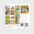 thumbnail image 4 of 2023 Mini Wall Calendar - Buddies- 7"x7" Puppies and Kittens by Dayspring, 4 of 4