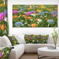thumbnail image 1 of Fleurs de Différentes Couleurs sur le Champ - Impression sur Toile Florale, 1 of 3