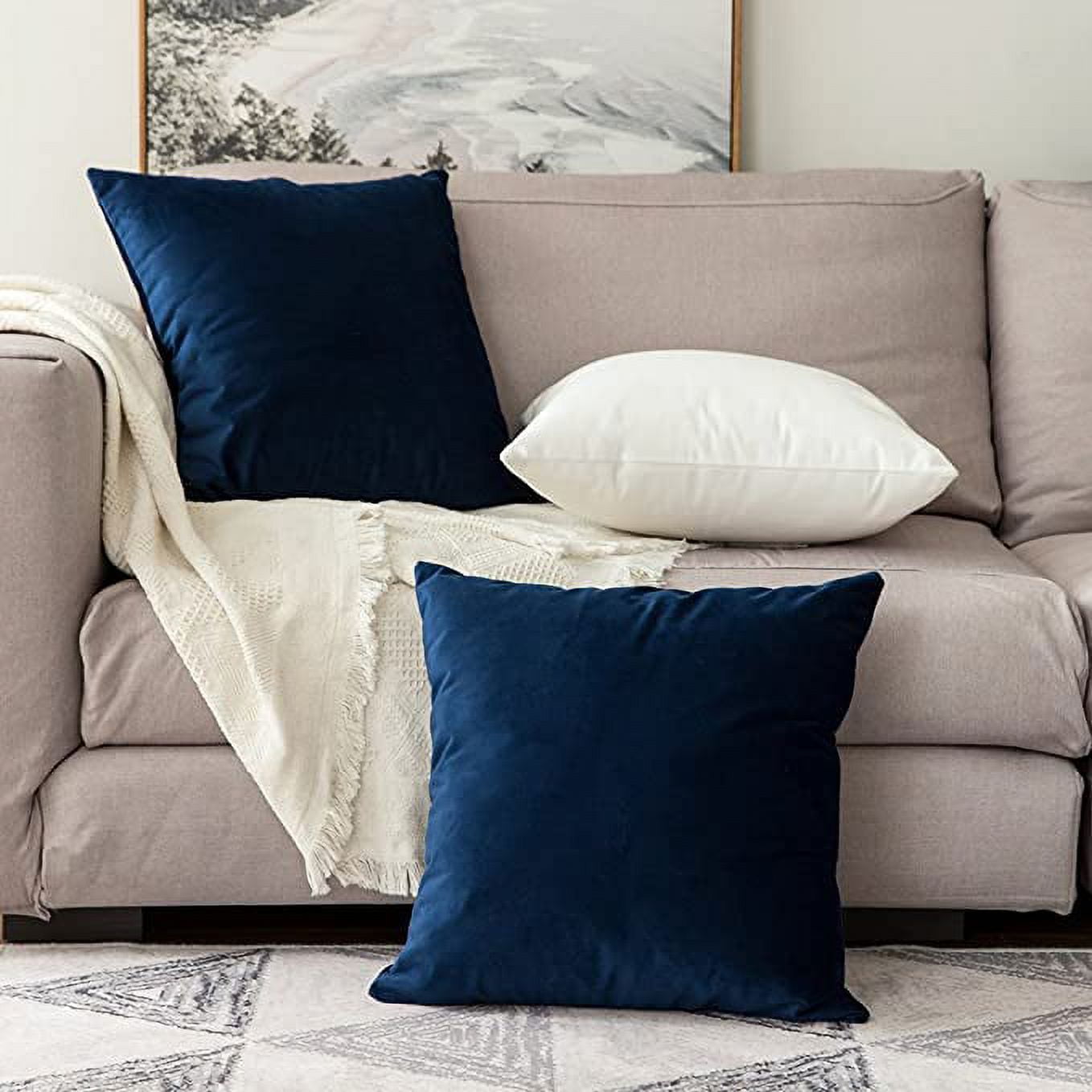 Cterwk Super Soft Velvet Square Throw Pillow Covers Decorative Cushion Cover for Bed Couch Sofa, 24x24inch, Set of 2