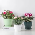 thumbnail image 4 of Flower Pot Round Planters Succulents Plant Pot with Tray Office Desktop Balcony Home Garden Decoration Outdoor Potted 5 Sizes, 4 of 10