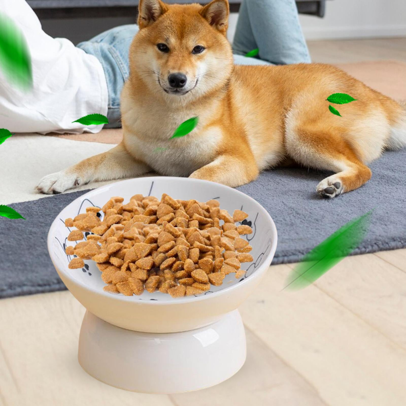 Ceramic Raised Pet Feeder Water Drinking Bowl Cat Food Plate Food