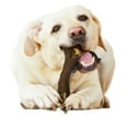 thumbnail image 5 of Nylabone Strong Chew Real Wood Stick Dog Toy Hickory Smoked Beef X-Large (1 Count), 5 of 10