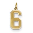 thumbnail image 1 of 14K Yellow Gold Medium Satin Number 6 Charm, 1 of 2