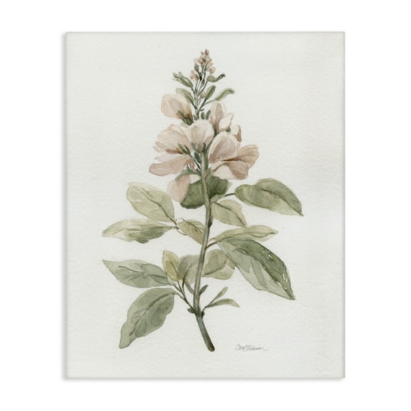 Stupell Industries Subtle Watercolor Botanicals Plants & Flowers Painting Wrapped Canvas Art Print Wall Art, 16 x 20