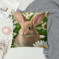 thumbnail image 2 of JEUXUS Daisy Flowers Beige Bunny Short Plush Pillowcase for Car Couch Bedroom White, 2 of 5