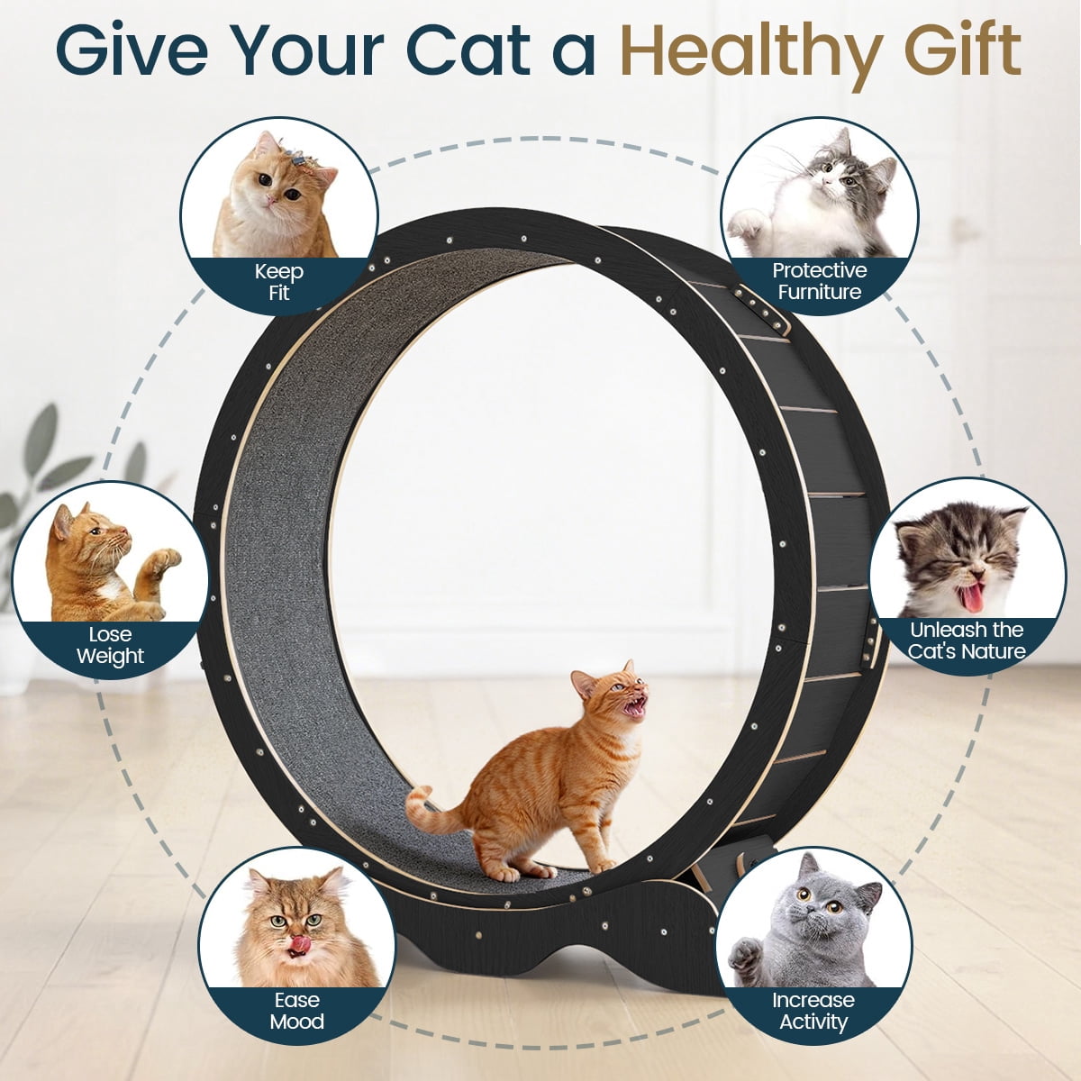 DOMIPET Cat Exercise Wheel, 45.3" Large XL Cat Treadmill Wheel for Indoor Cats, Running Wheel with Detachable Carpet for Running/Walking/Training, Suitable for Most Cats