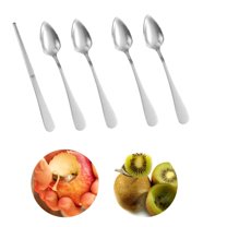 QZS Stainless Steel Grapefruit Spoons,Silver Portable Kiwi Utensil Tool for Melon,Reusable Dessert Spoons,4 Stainless Steel Spoons and 1 Knife