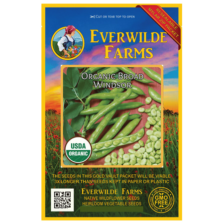 - Everwilde Farms - 20 Organic Broad Windsor Fava Bean Seeds - Gold Vault Jumbo Bulk Seed Packet
