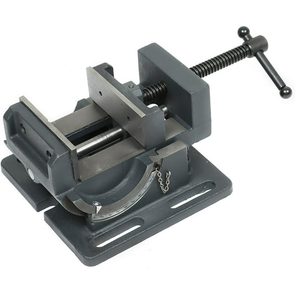 munirater 4 Inch Tiltable Bench Vise 0-90 Degree Tilt Angle Vise for Machine Tool Machining