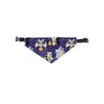 thumbnail image 1 of Animals In Costumes Bandana  -Image by Shutterstock,  Small, 1 of 4