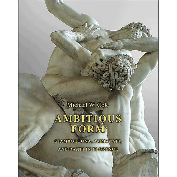 Ambitious Form: Giambologna, Ammanati, and Danti in Florence, (Hardcover)