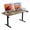 Black-Brown, variant on Ergomaker Electric Standing Desk,35" x 23.6" Height Adjustable Desk with Memory Preset for Adult,White