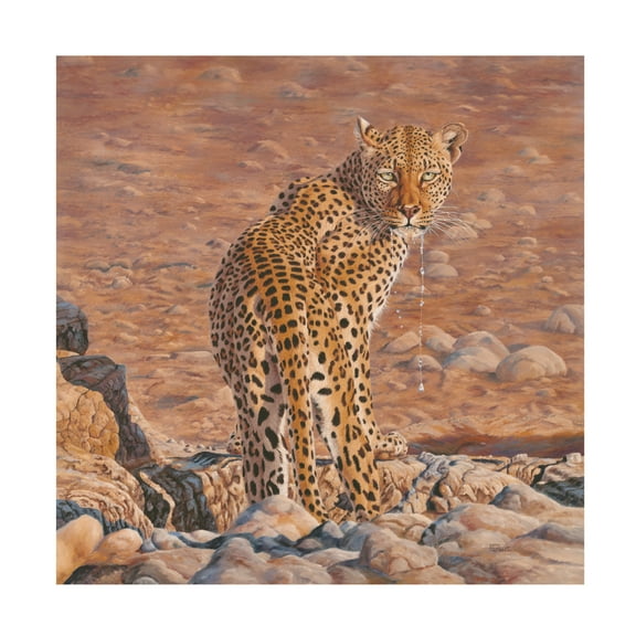 Canvas Wall Art - Delene Lambert 'Disturbed' Wall Art for Living Room, Bedroom, or Office Décor by Trademark Fine Art - 14 x 14 Inches