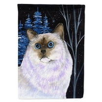 Carolines Treasures SS8403-FLAG-PARENT Starry Night Cat - Birman Flag  multicolor