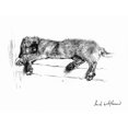 thumbnail image 2 of Illustration Of An Irish Wolfhound By Cecil Aldin Poster Print By Mary Evans Picture Library, 2 of 2