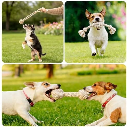 Dog Rope Toy for Small Dog 3pcs, Natural Chew Toys for Puppy, Medium & Small Dogs, Tug of War Rope for Puppies Clean & Relieve Teething