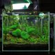 thumbnail image 2 of Aquarium Waterproof LED Spotlight Submersible Light Convex Lens Suction Cup Fish Tank Decorative Light Sun Light (EU Plug), 2 of 4