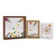thumbnail image 4 of Marco de muestra de flores y hojas secas, marco de madera con real, 4 of 6