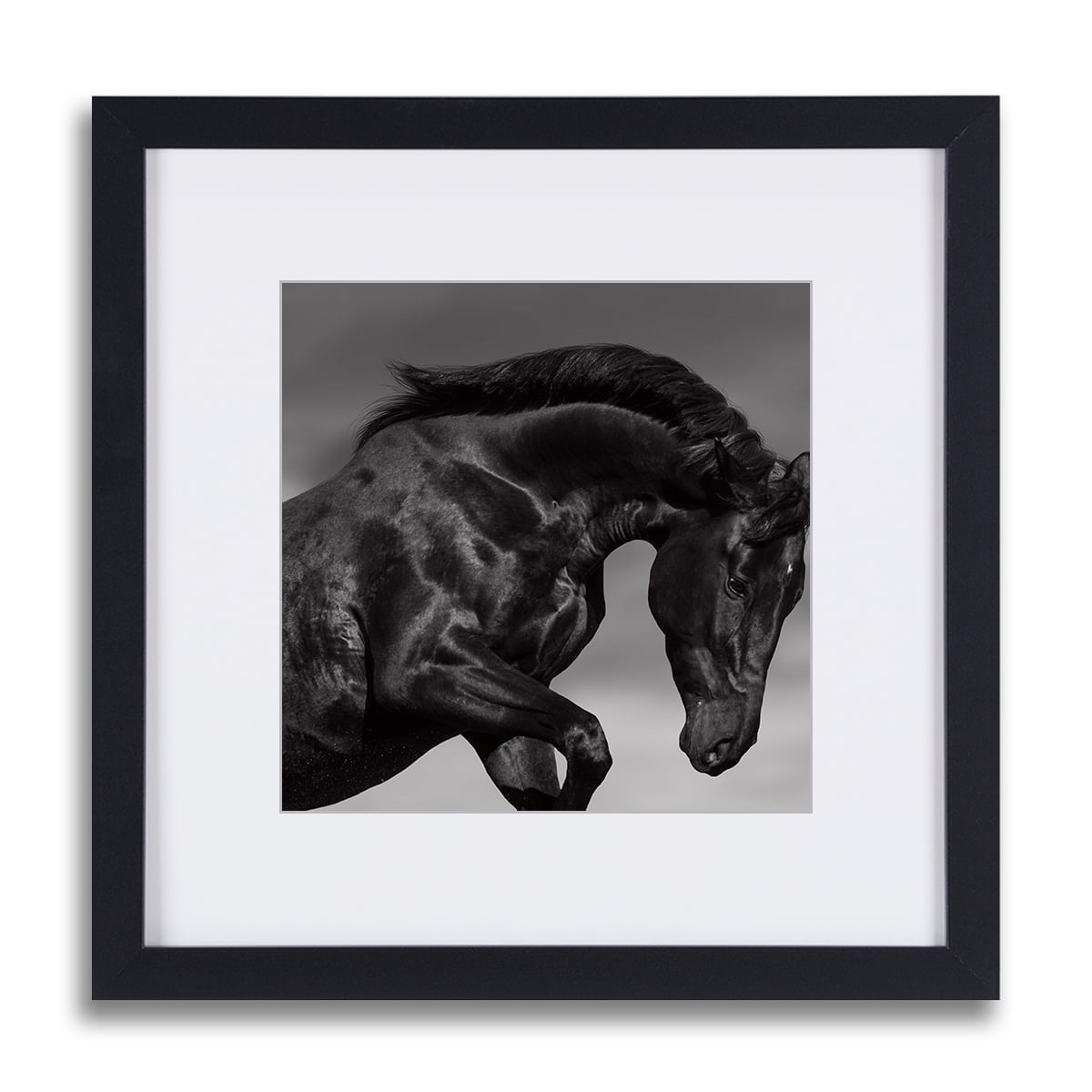 Black Horse Wall Art Animal Picture With Black Frame And Mat 12x12inch