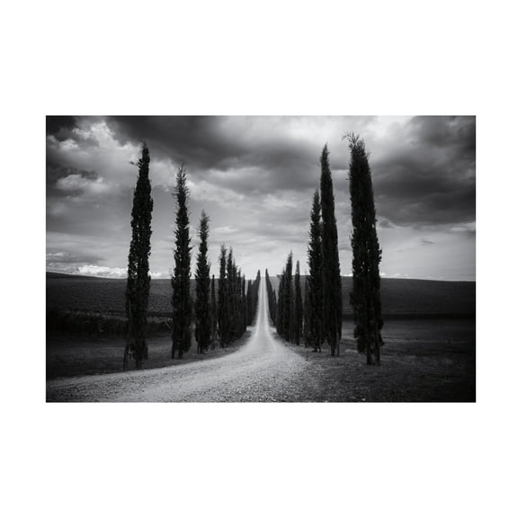 Aledanda 'Travelling In Tuscany' Canvas Art